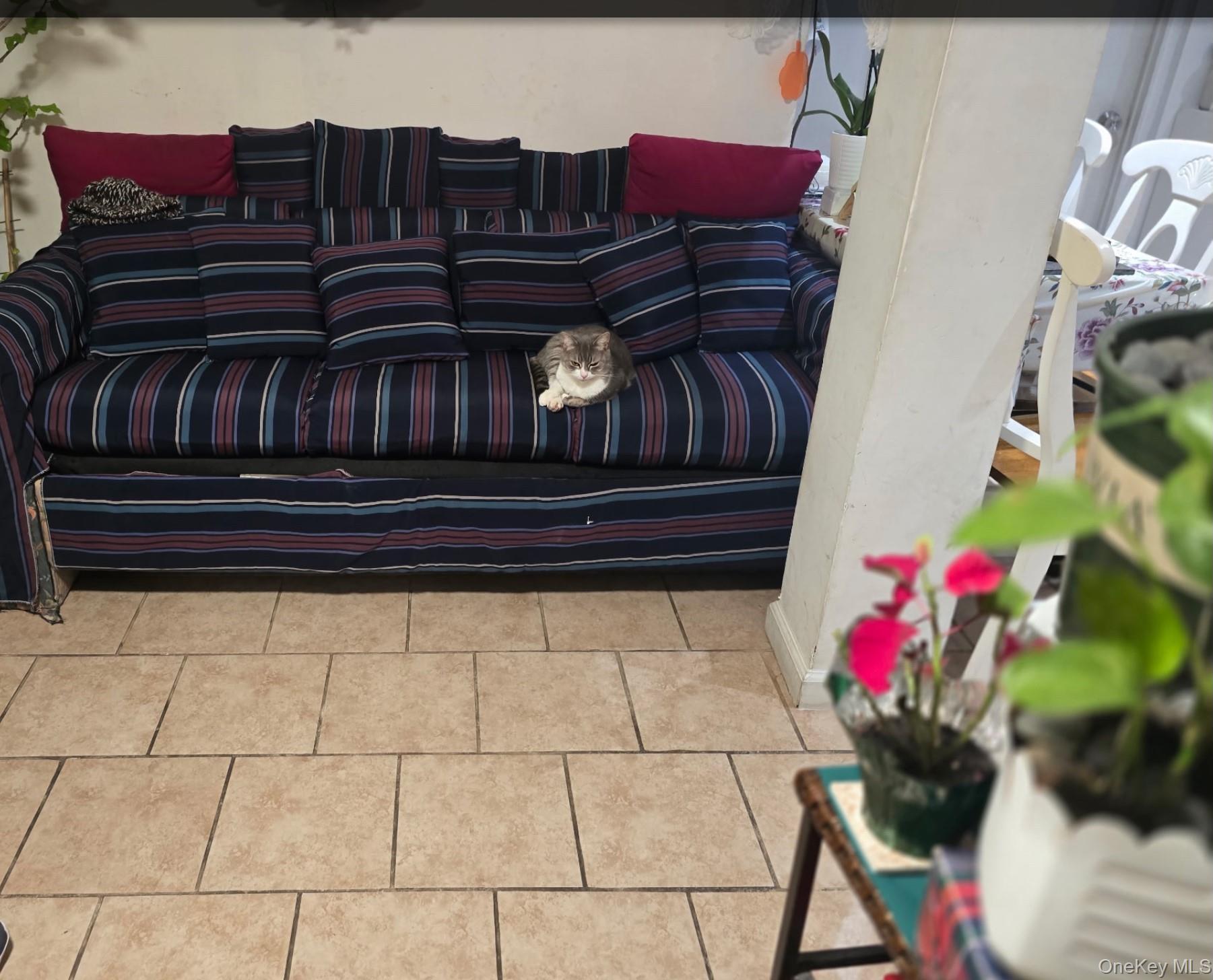 Single Family Campion Suffolk County, NY 11717, MLS-954400-10