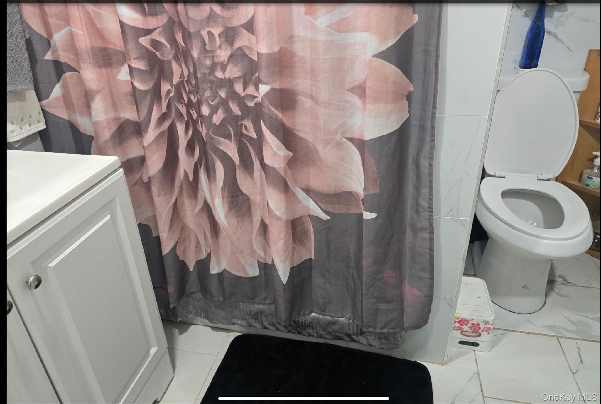 Single Family Campion Suffolk County, NY 11717, MLS-954400-4