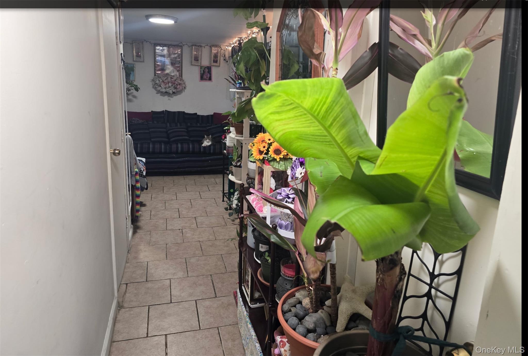 Single Family Campion Suffolk County, NY 11717, MLS-954400-5