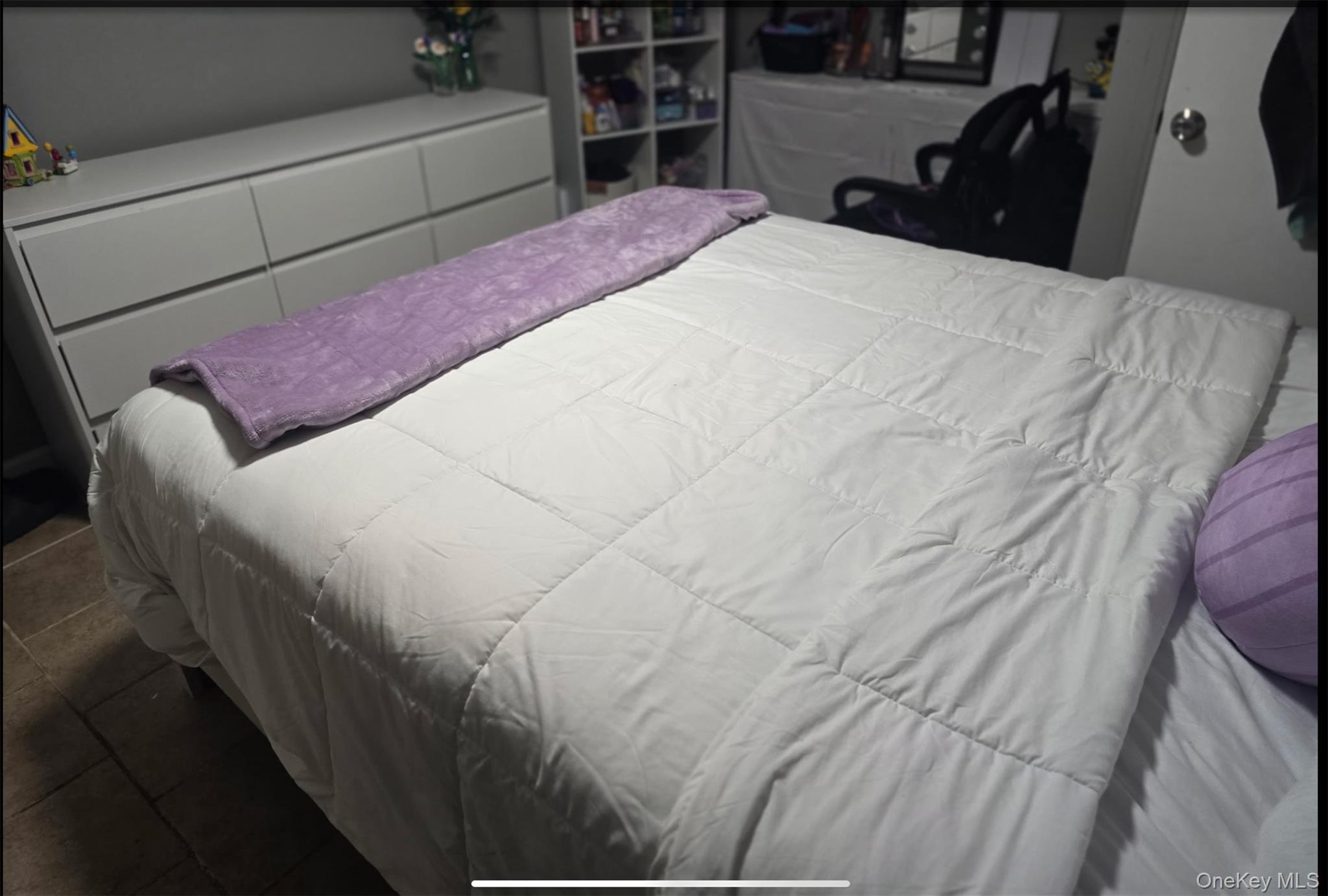 Single Family Campion Suffolk County, NY 11717, MLS-954400-6