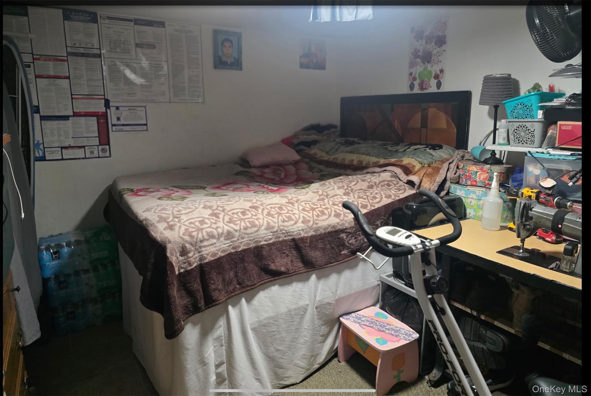 Single Family Campion Suffolk County, NY 11717, MLS-954400-8