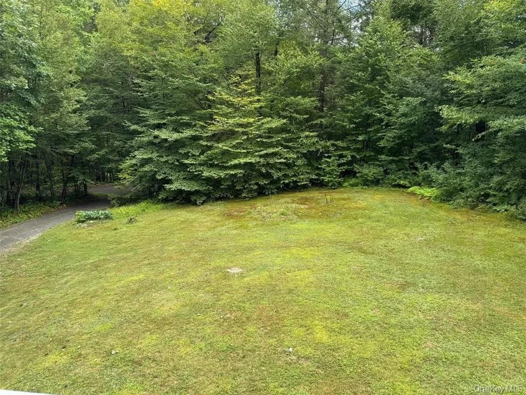 Single Family Bouchouxville  Delaware County, NY 13783, MLS-954413-2