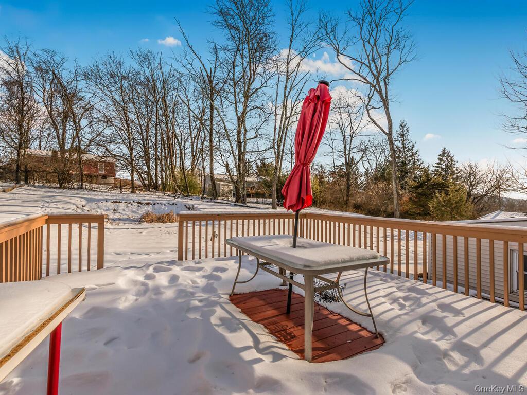 Single Family Tulip Orange County, NY 10950, MLS-954439-21