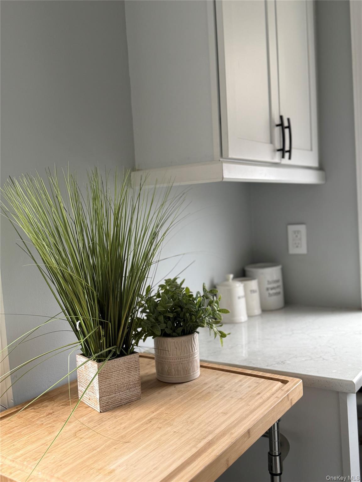 Coop 234th Queens, NY 11422, MLS-954470-4