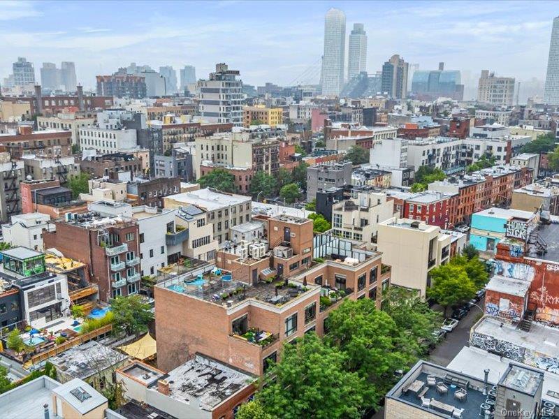 Condo Hope  Brooklyn, NY 11211, MLS-954475-17