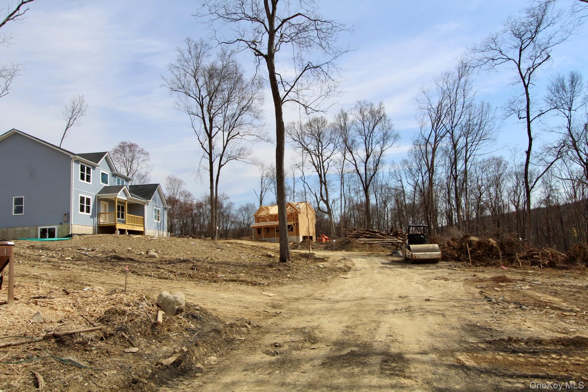 Single Family Tamarack  Orange County, NY 12550, MLS-954483-18