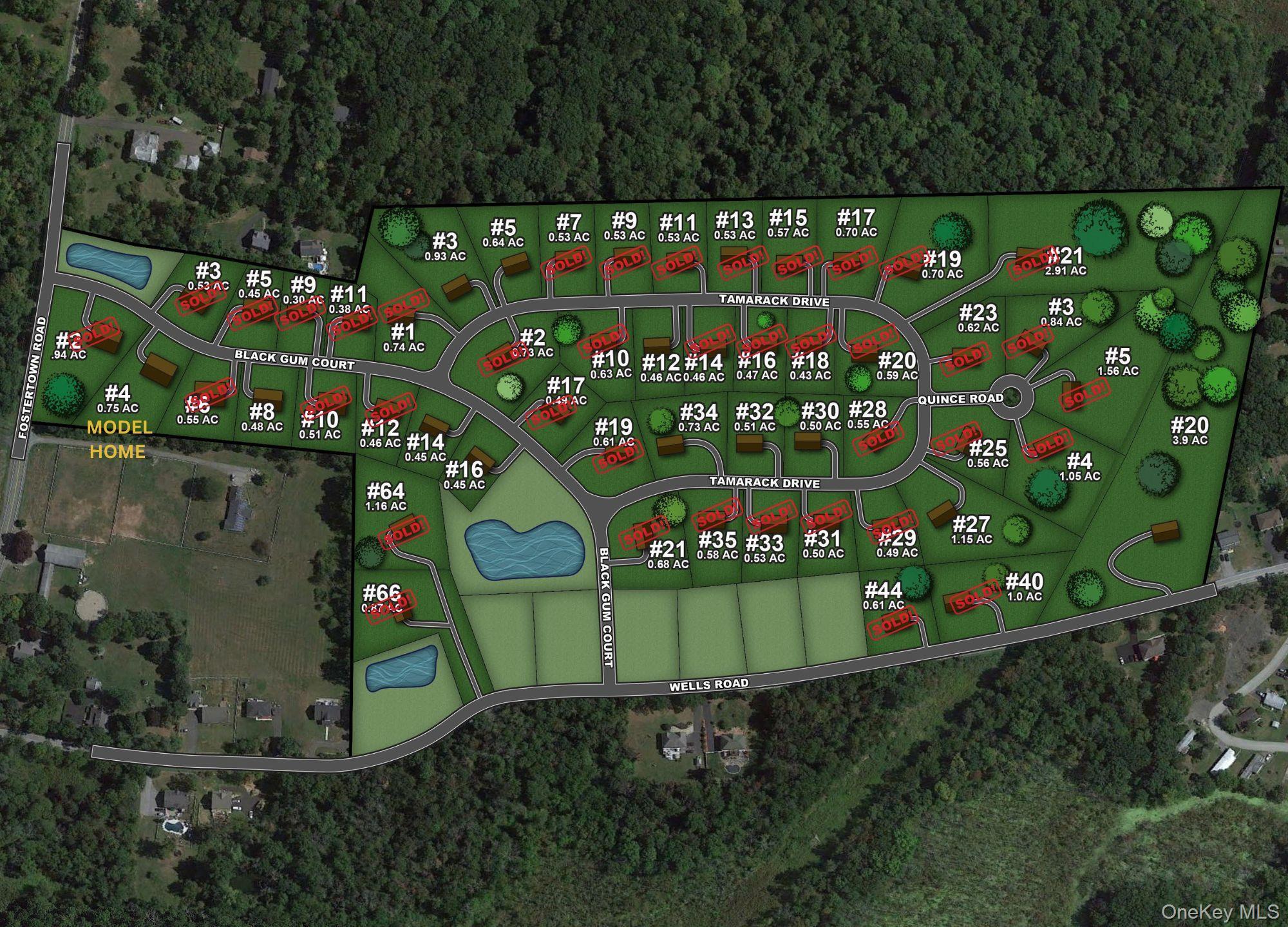 Single Family Tamarack  Orange County, NY 12550, MLS-954483-9