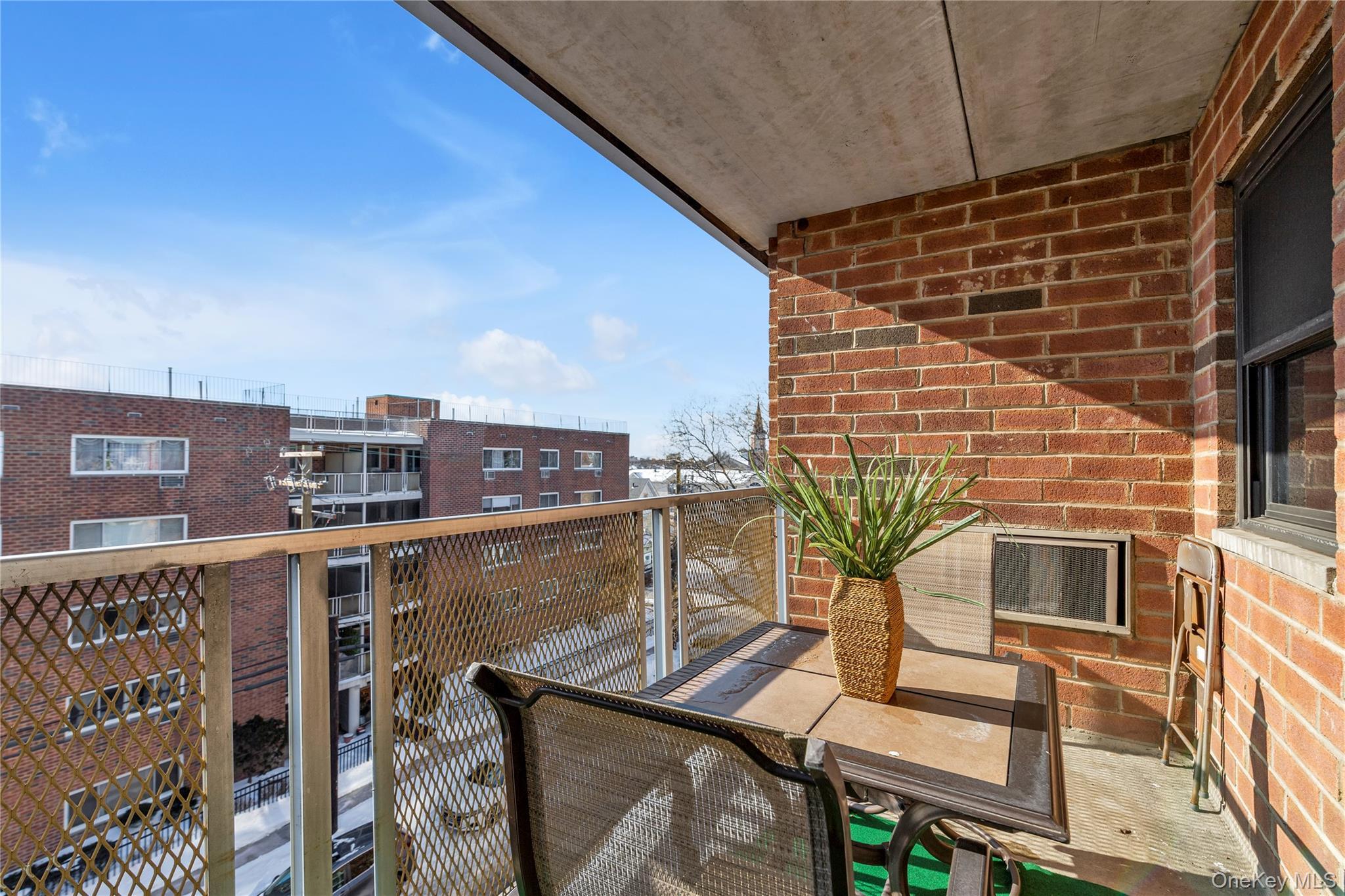 Coop Clinton  Nassau County, NY 11501, MLS-954494-17