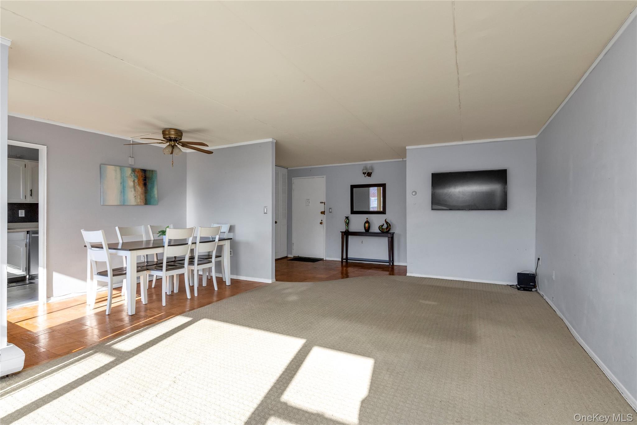 Coop Clinton  Nassau County, NY 11501, MLS-954494-5