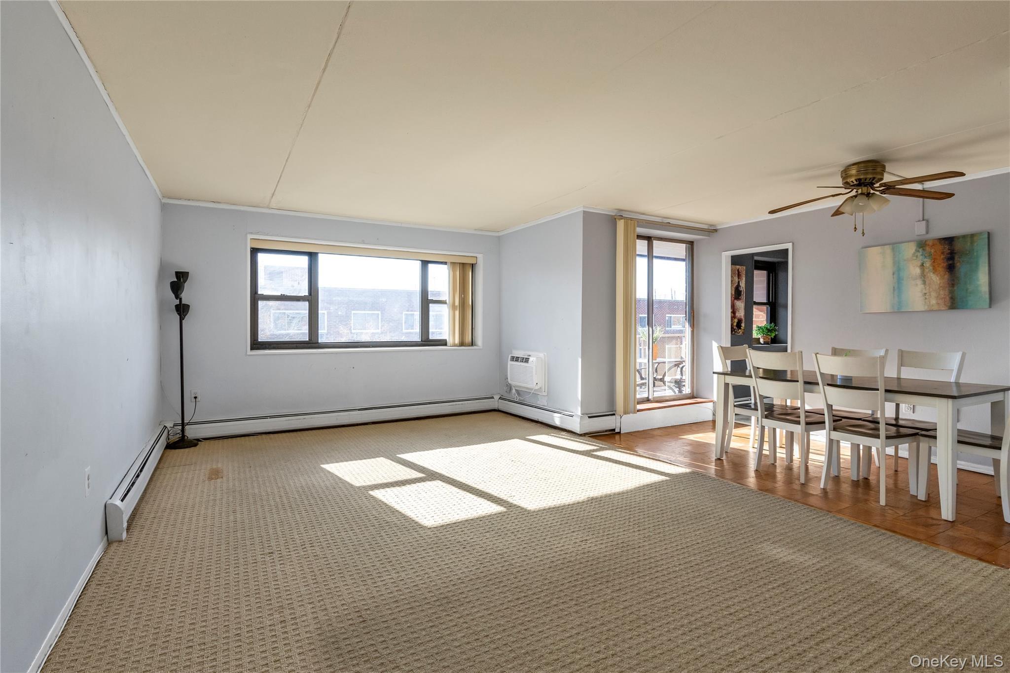 Coop Clinton  Nassau County, NY 11501, MLS-954494-6