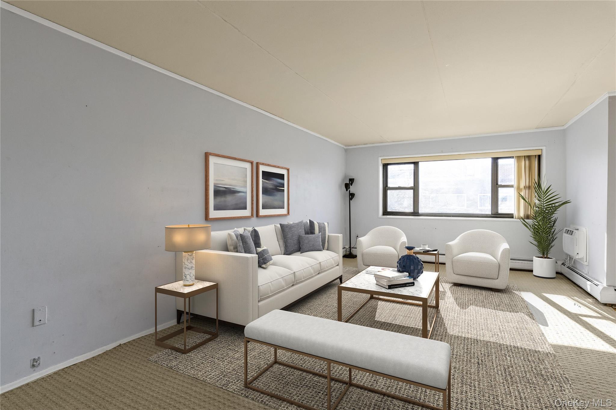 Coop Clinton  Nassau County, NY 11501, MLS-954494-7