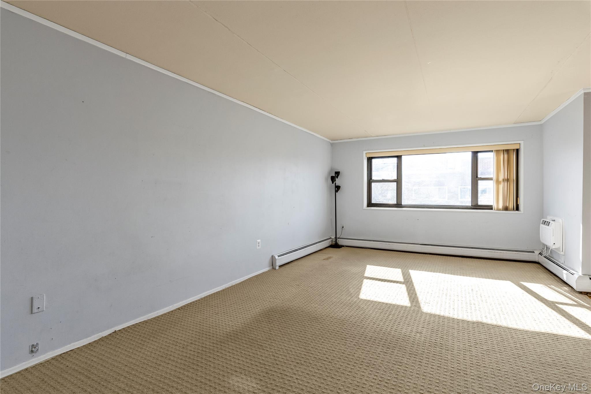 Coop Clinton  Nassau County, NY 11501, MLS-954494-8