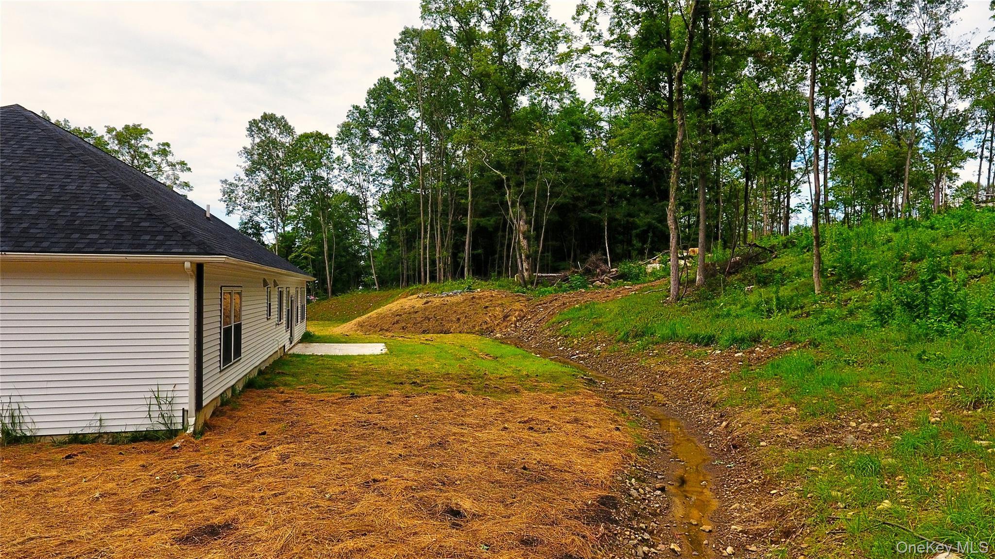 Single Family Black Gum  Orange County, NY 12550, MLS-954504-34