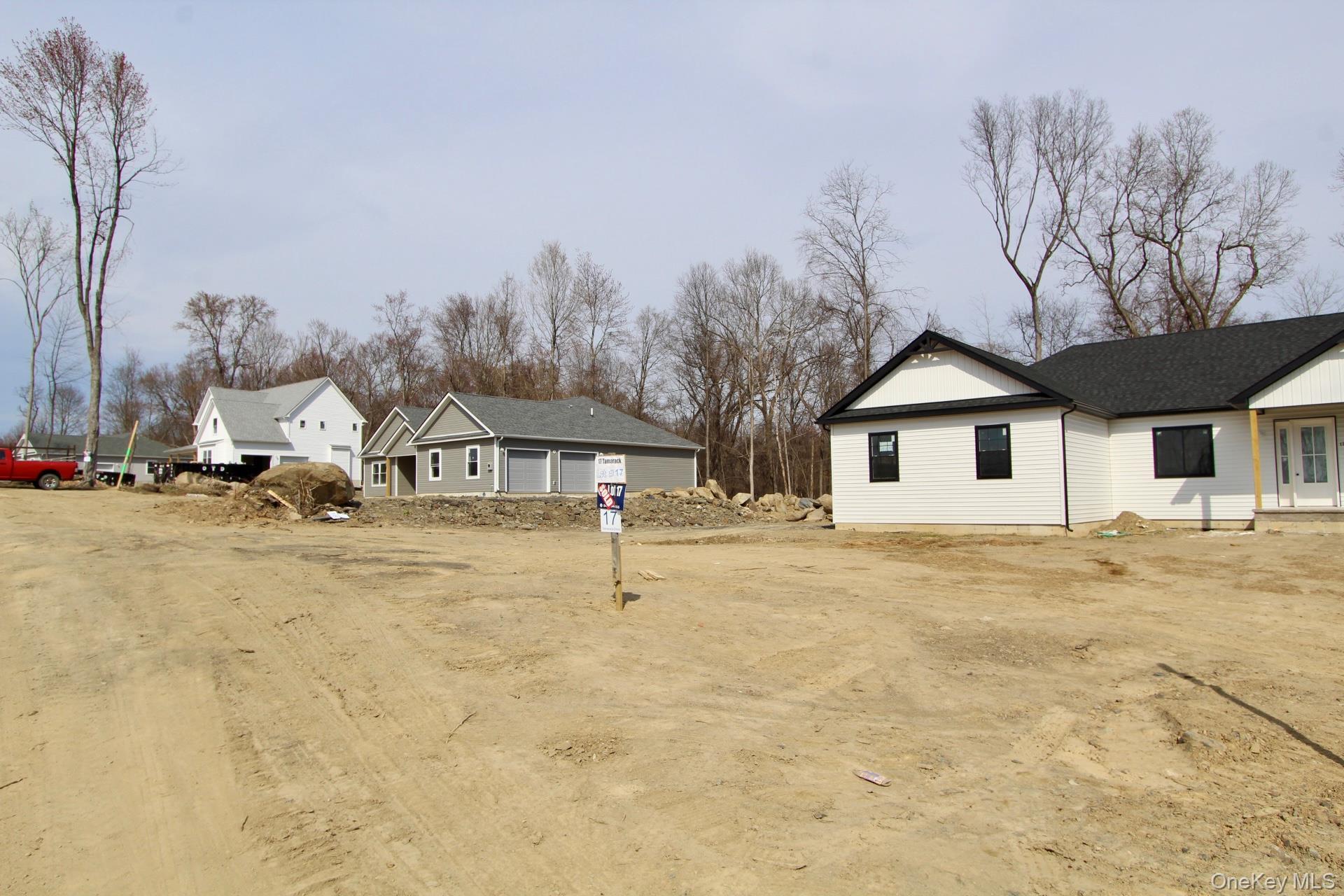 Single Family Black Gum  Orange County, NY 12550, MLS-954504-43