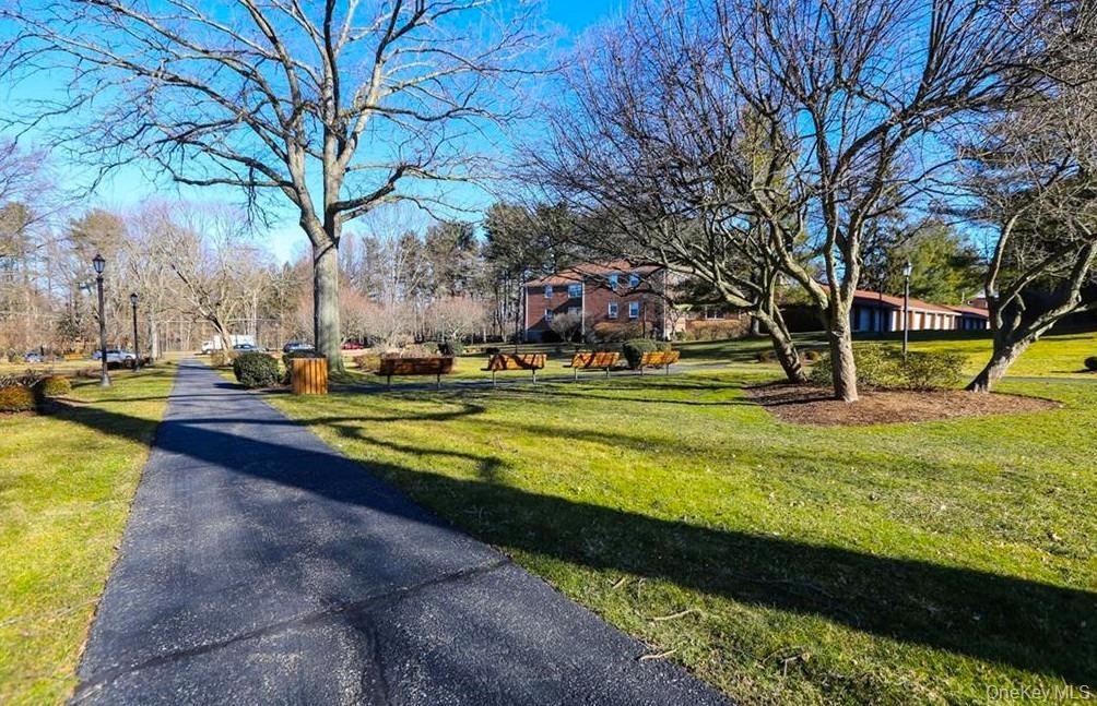 Coop Bryant  Westchester County, NY 10605, MLS-954534-16