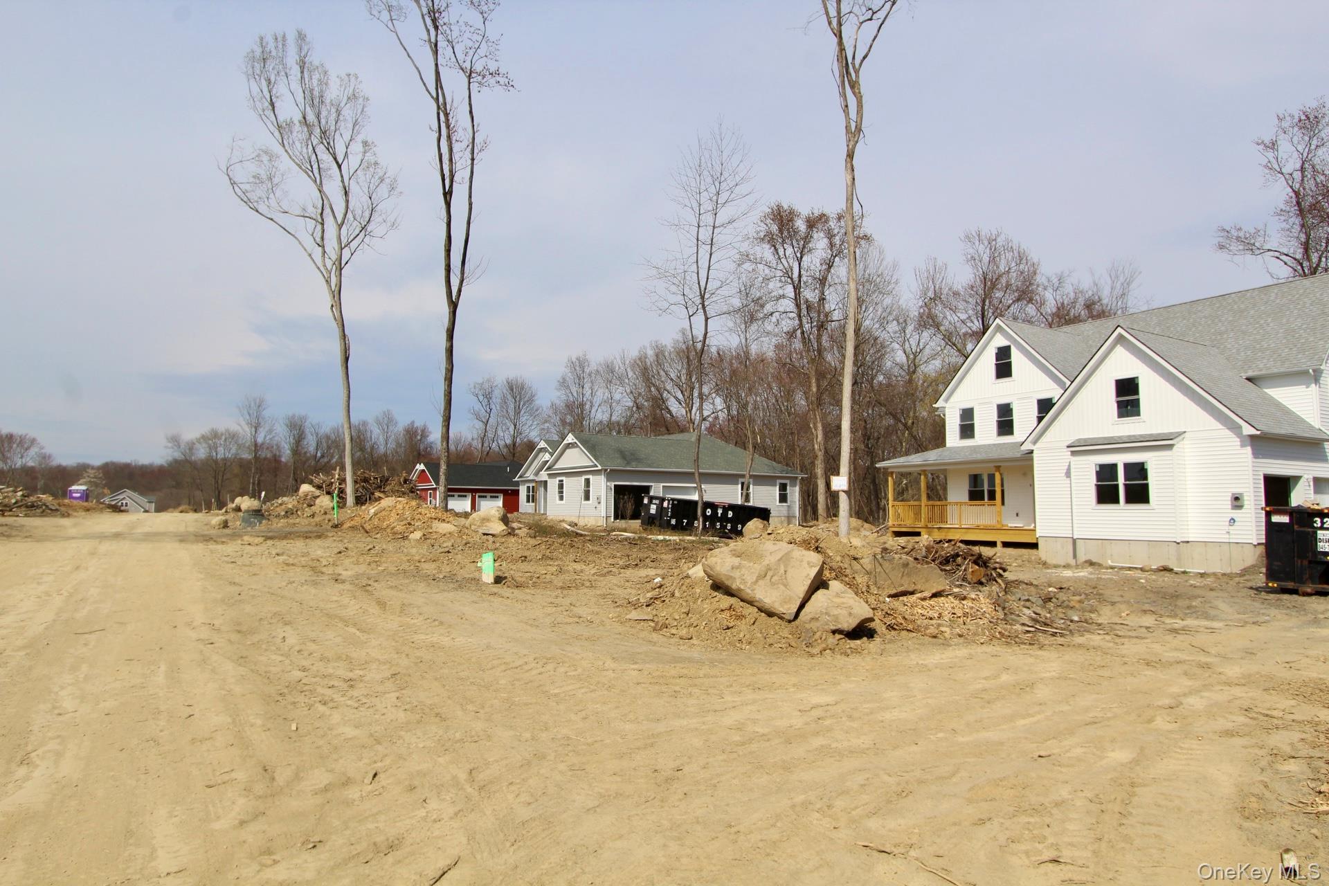 Single Family Black Gum  Orange County, NY 12550, MLS-954561-9