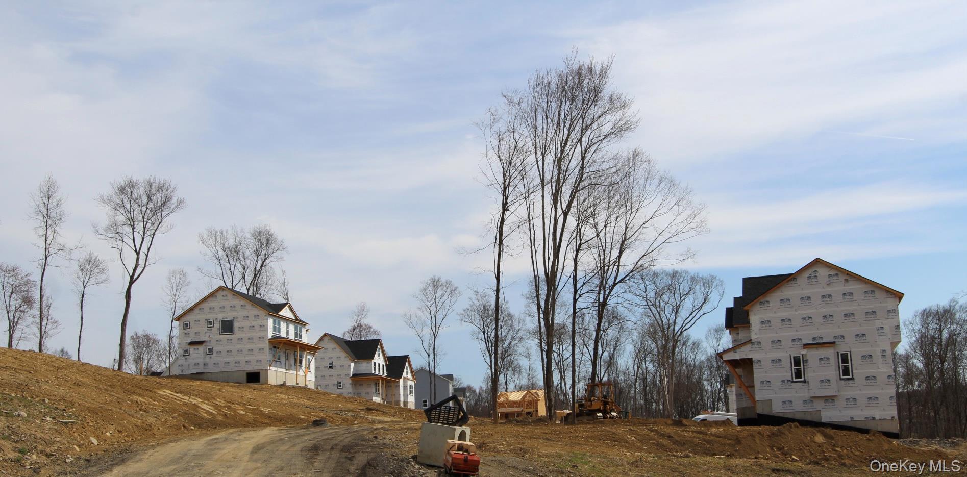 Single Family Tamarack  Orange County, NY 12550, MLS-954575-7