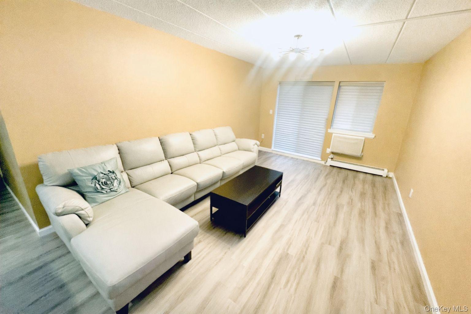 Condo 69th Queens, NY 11379, MLS-954577-9