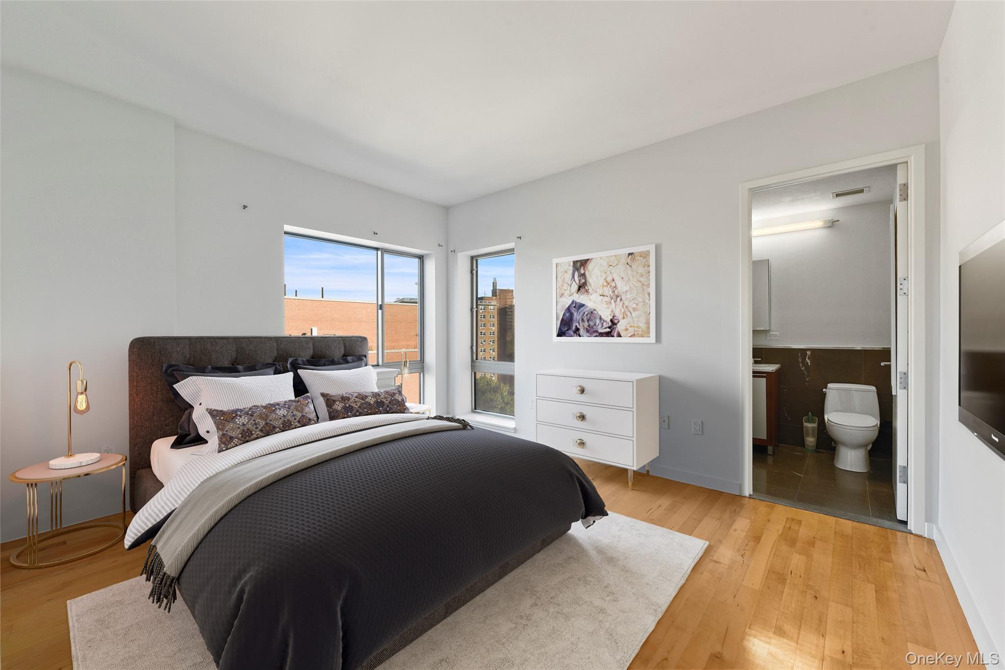 Condo 236th  Bronx, NY 10463, MLS-954620-12