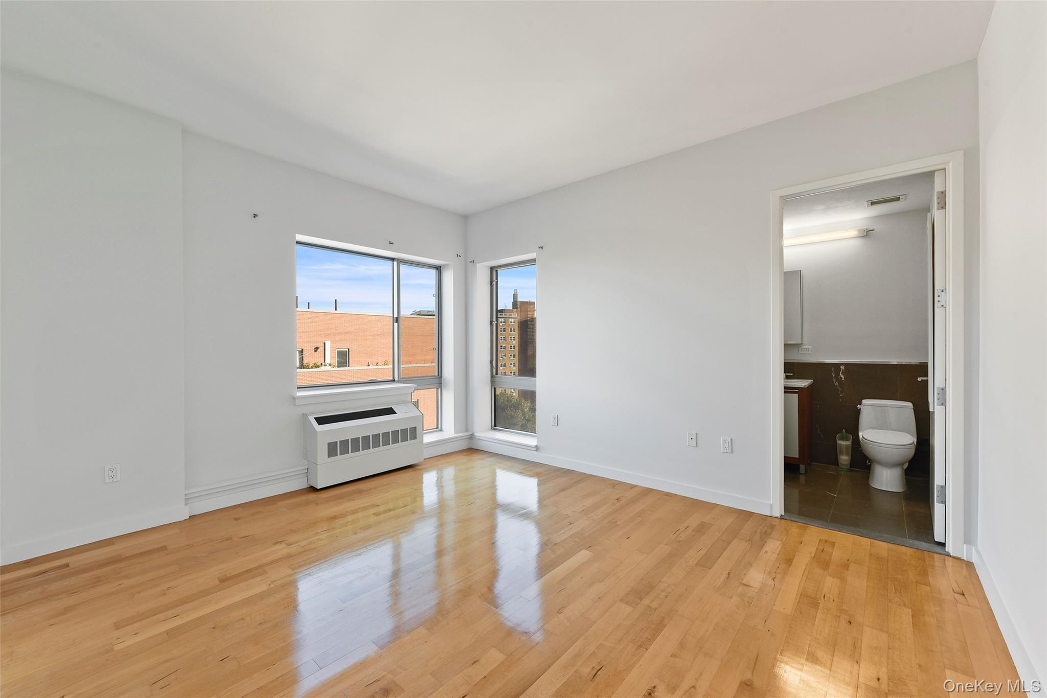 Condo 236th  Bronx, NY 10463, MLS-954620-13