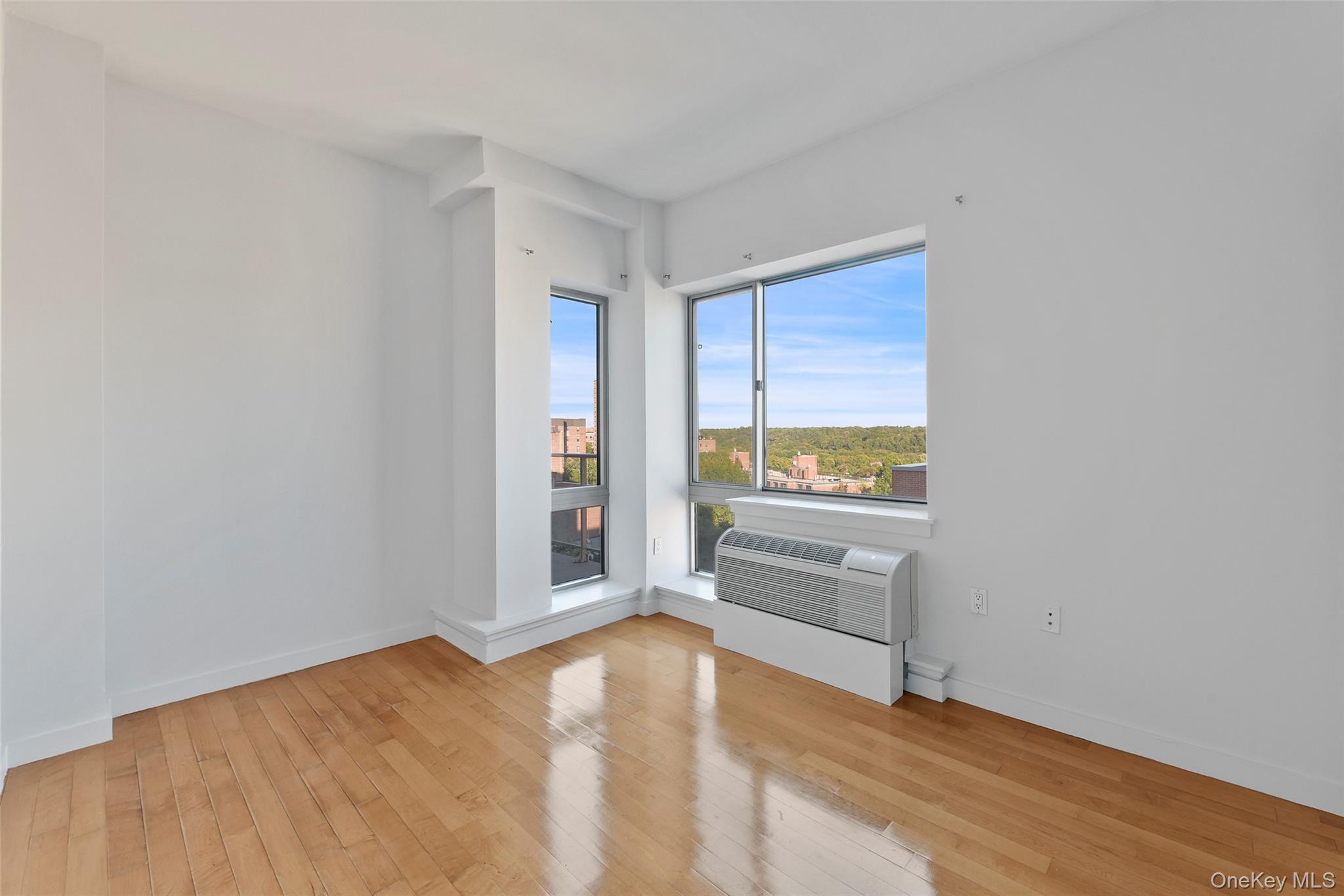 Condo 236th  Bronx, NY 10463, MLS-954620-15