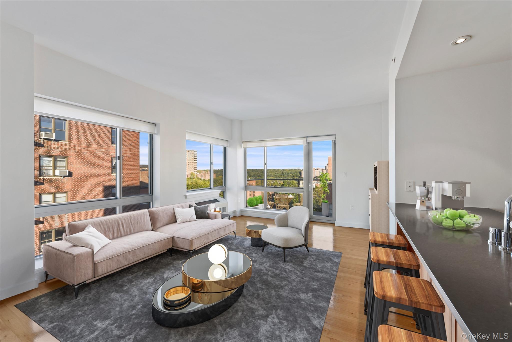 Condo 236th  Bronx, NY 10463, MLS-954620-2