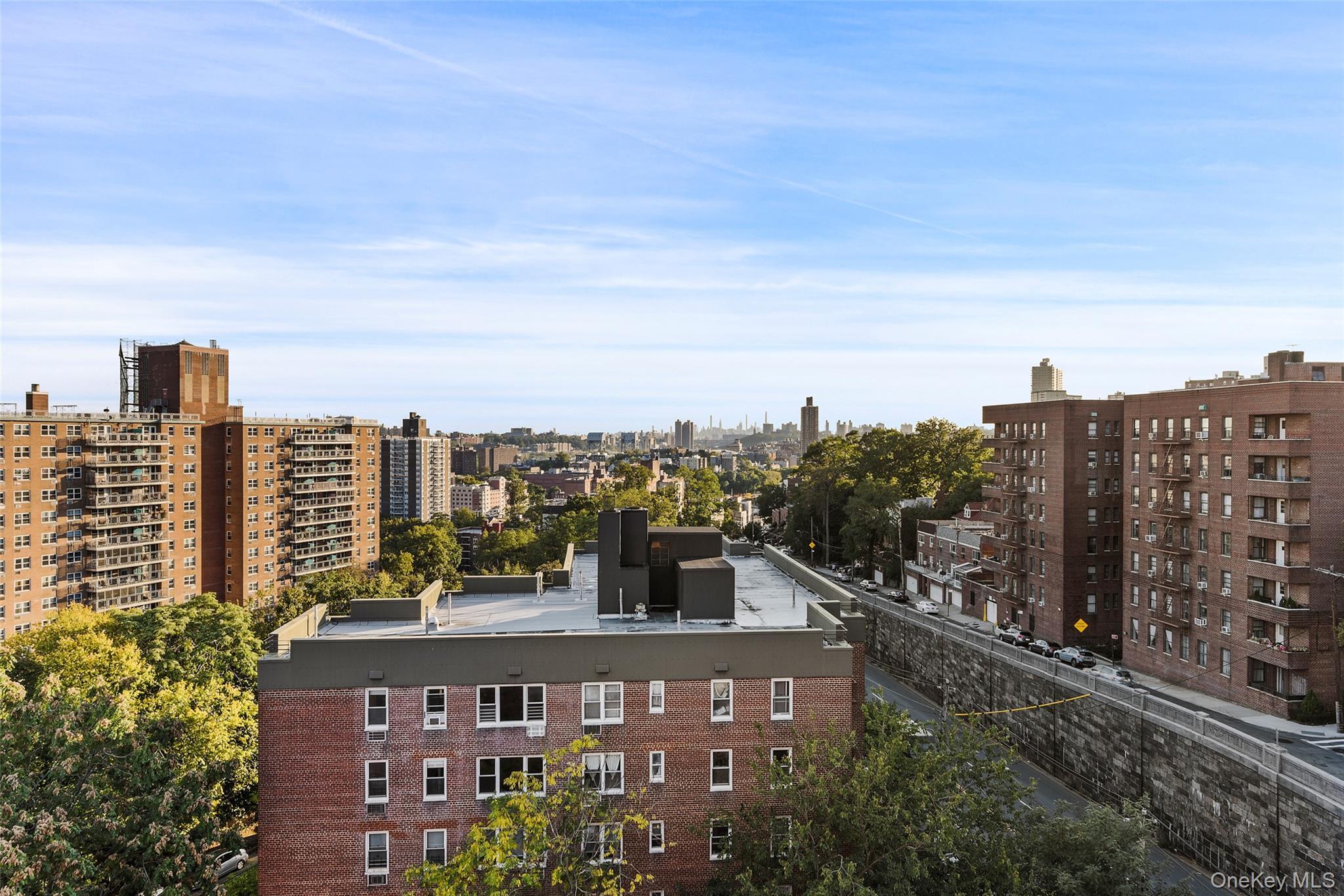 Condo 236th  Bronx, NY 10463, MLS-954620-24