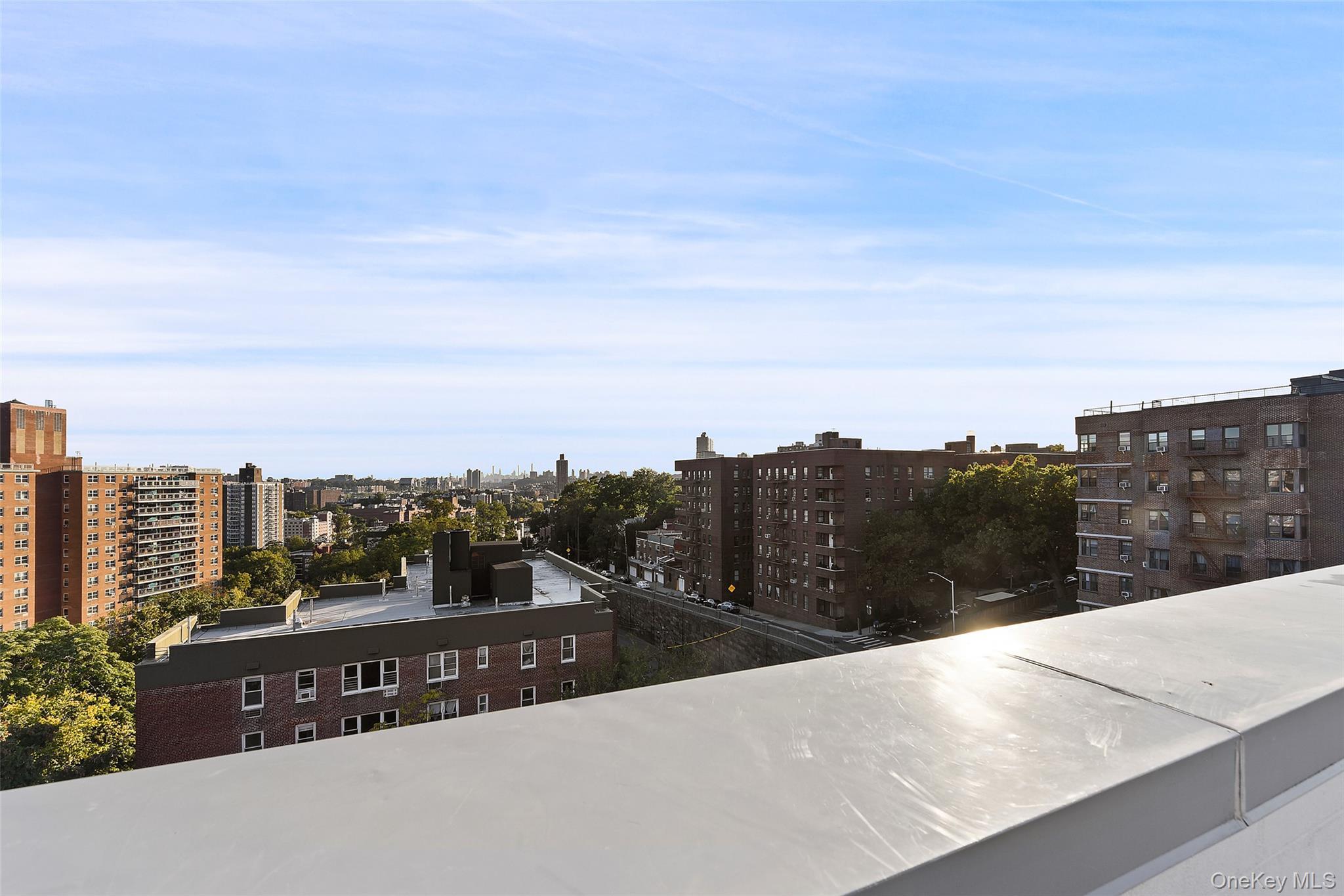 Condo 236th  Bronx, NY 10463, MLS-954620-25