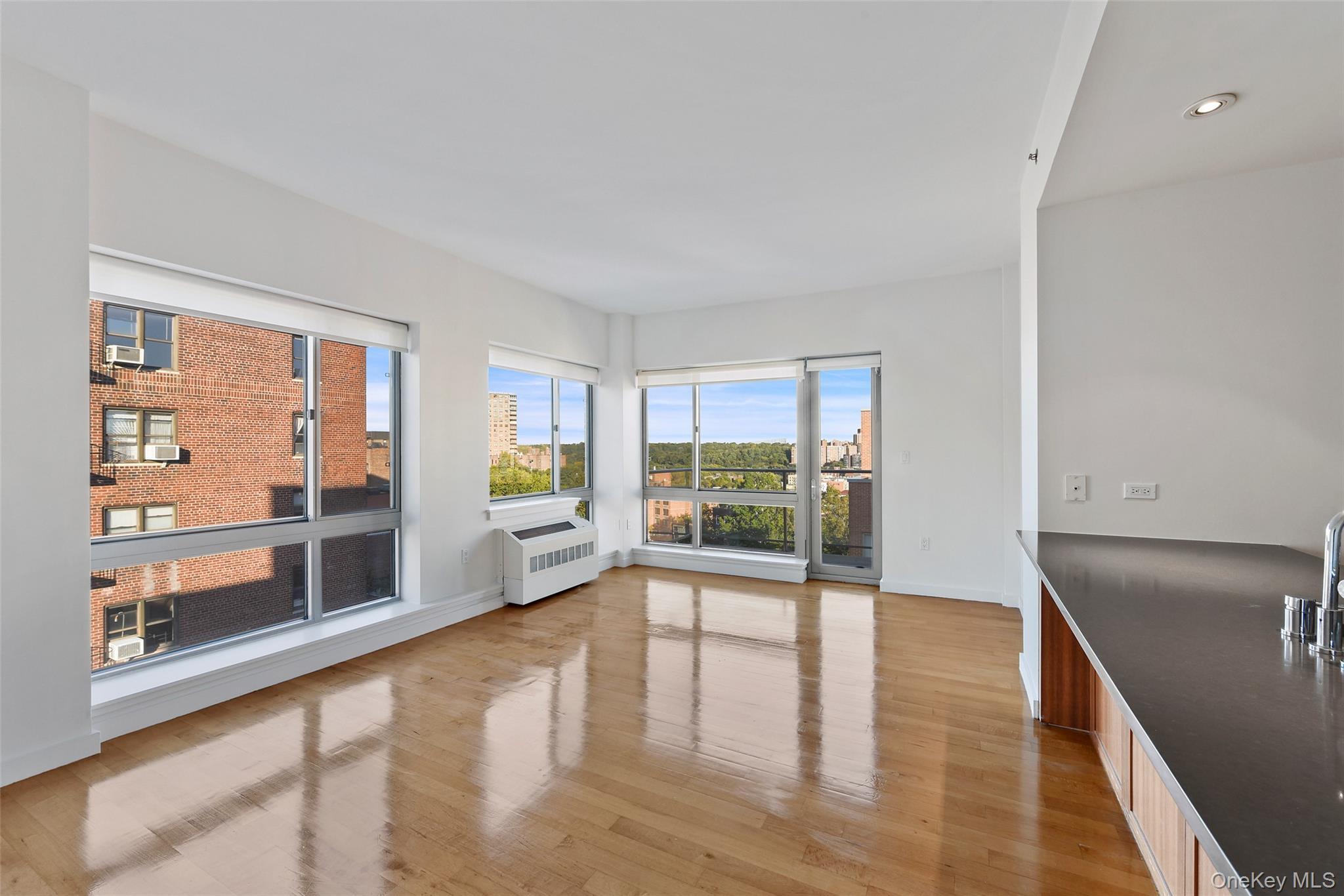 Condo 236th  Bronx, NY 10463, MLS-954620-4