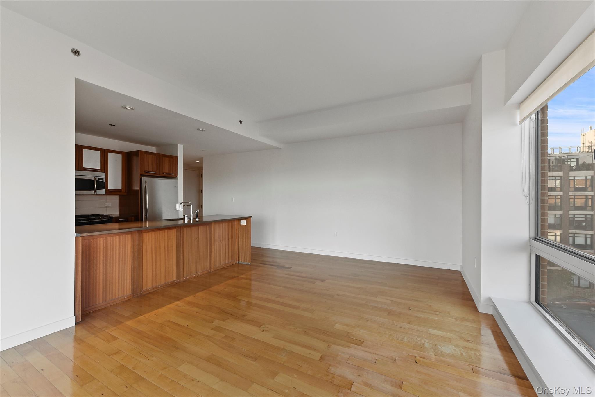 Condo 236th  Bronx, NY 10463, MLS-954620-5