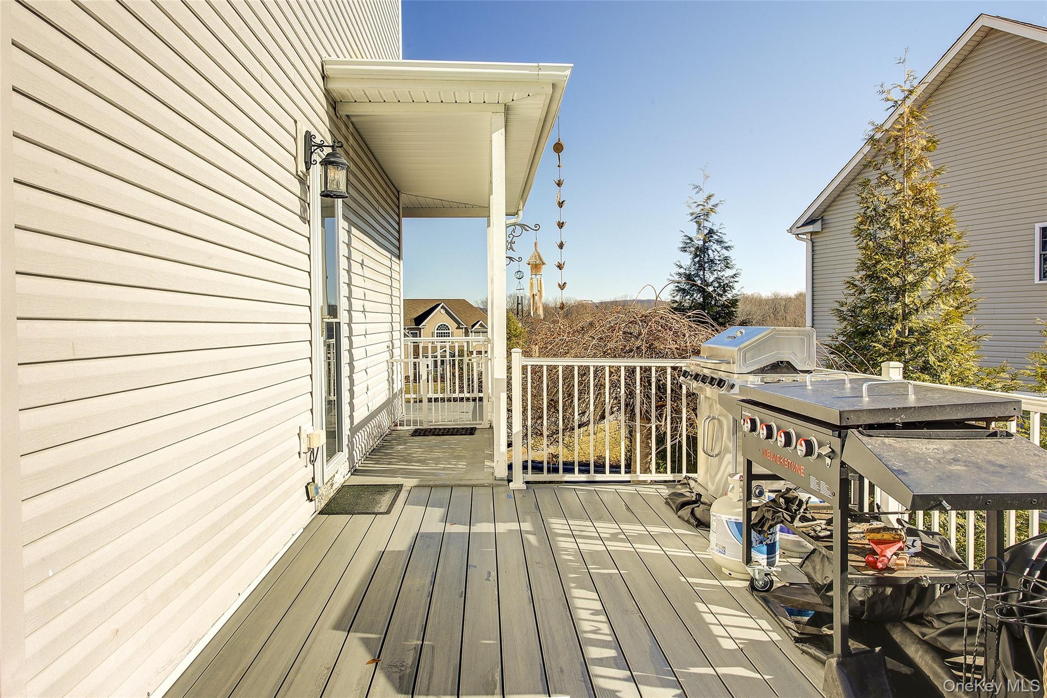 Single Family Tanyas  Orange County, NY 10950, MLS-954650-44