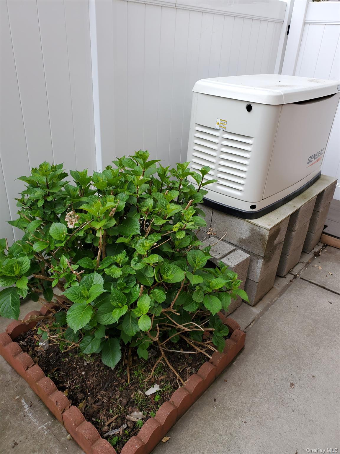 Single Family 164th  Queens, NY 11414, MLS-954653-46