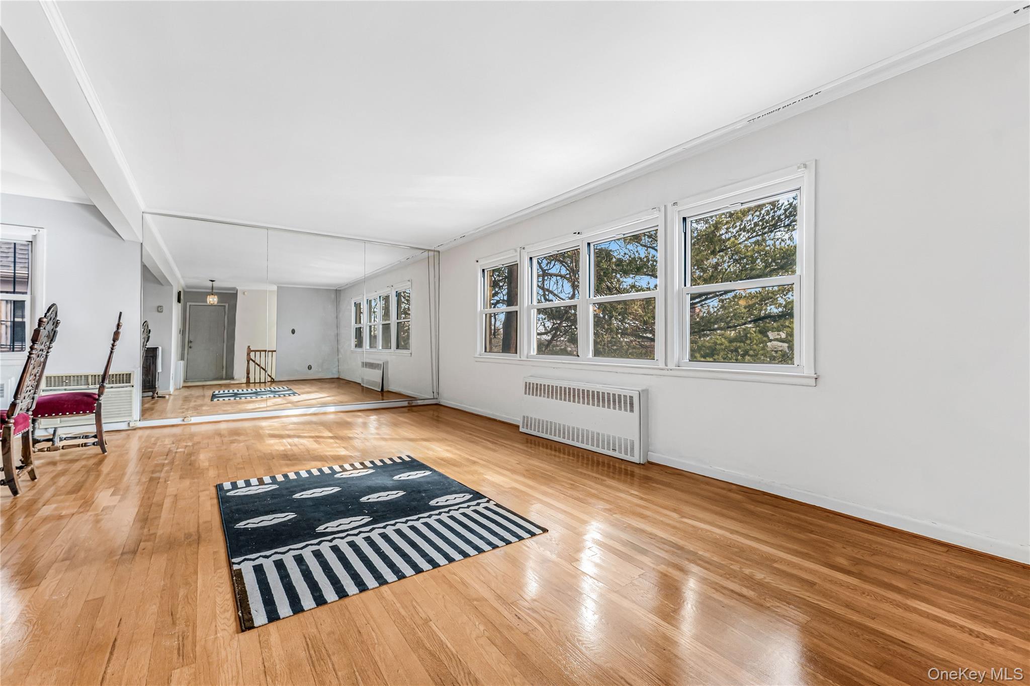 Single Family Sawyer  Queens, NY 11427, MLS-954659-16