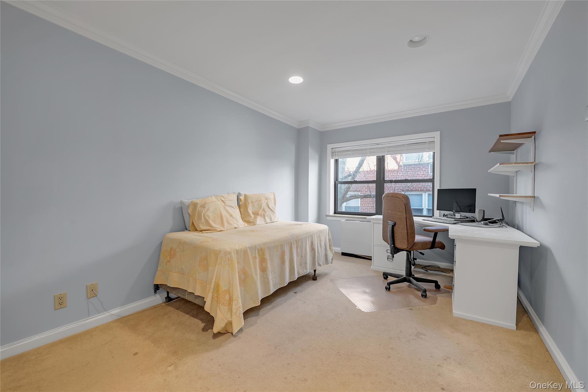 Coop Canterbury  Nassau County, NY 11021, MLS-954662-13