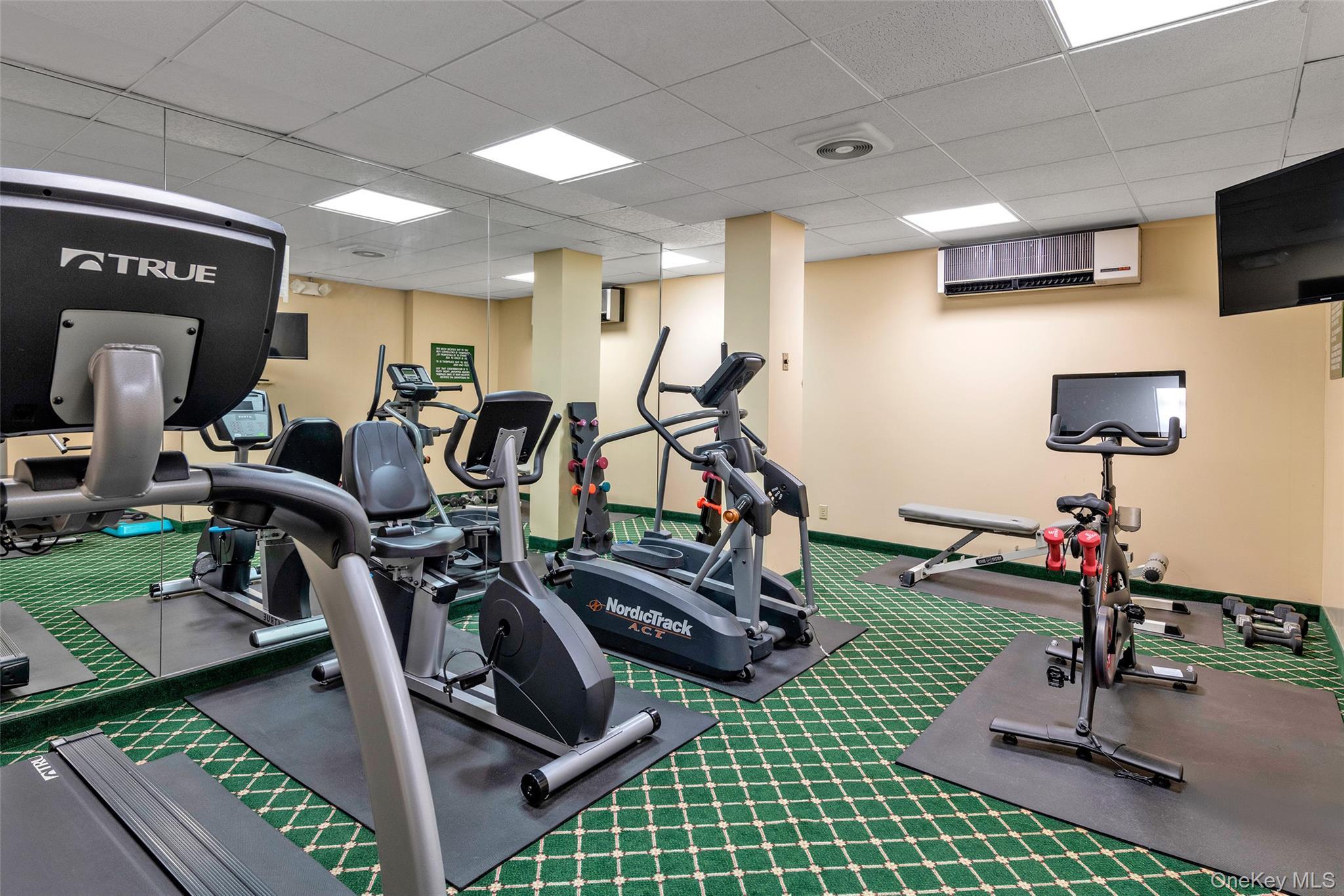 Coop Canterbury  Nassau County, NY 11021, MLS-954662-20