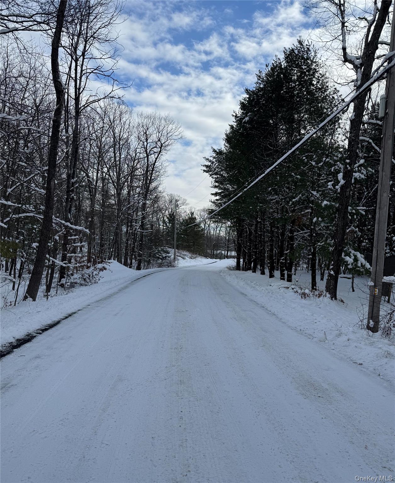 Single Family Easy  Greene County, NY 12414, MLS-954670-19