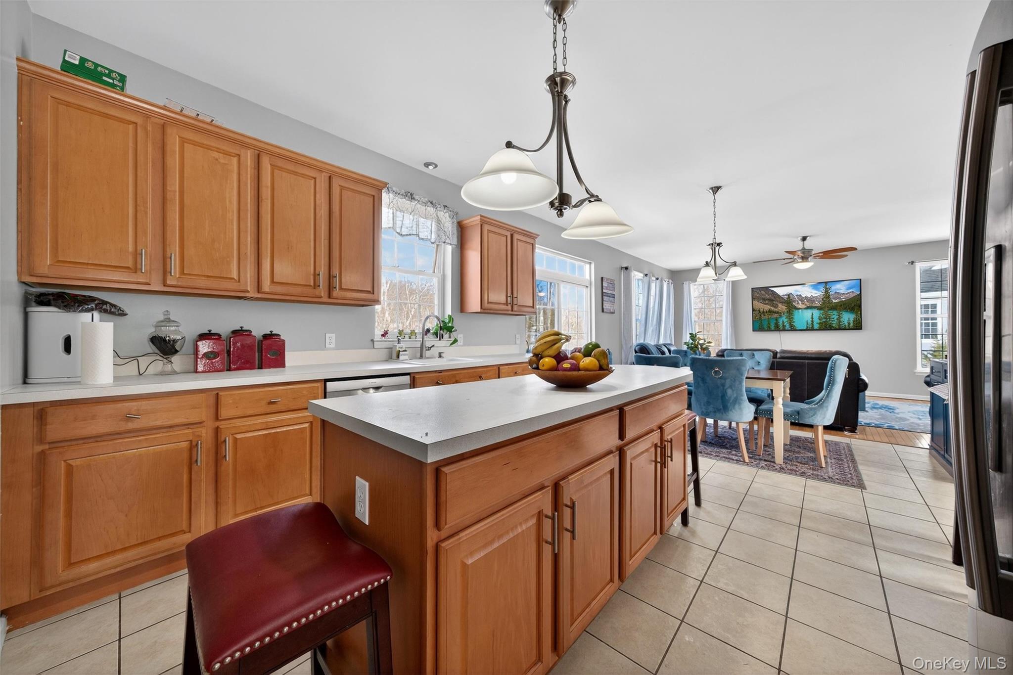 Single Family Oldwyck  Orange County, NY 10930, MLS-954754-13