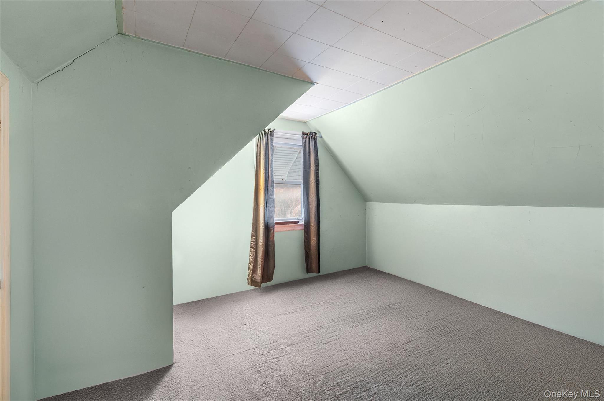 Single Family 229th  Queens, NY 11411, MLS-954819-8