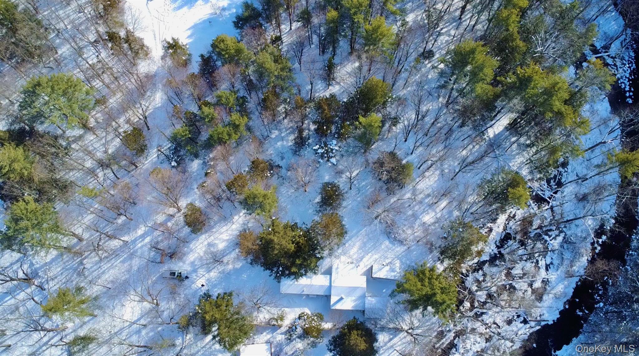 Single Family Potic Creek Greene County, NY 12051, MLS-954851-10