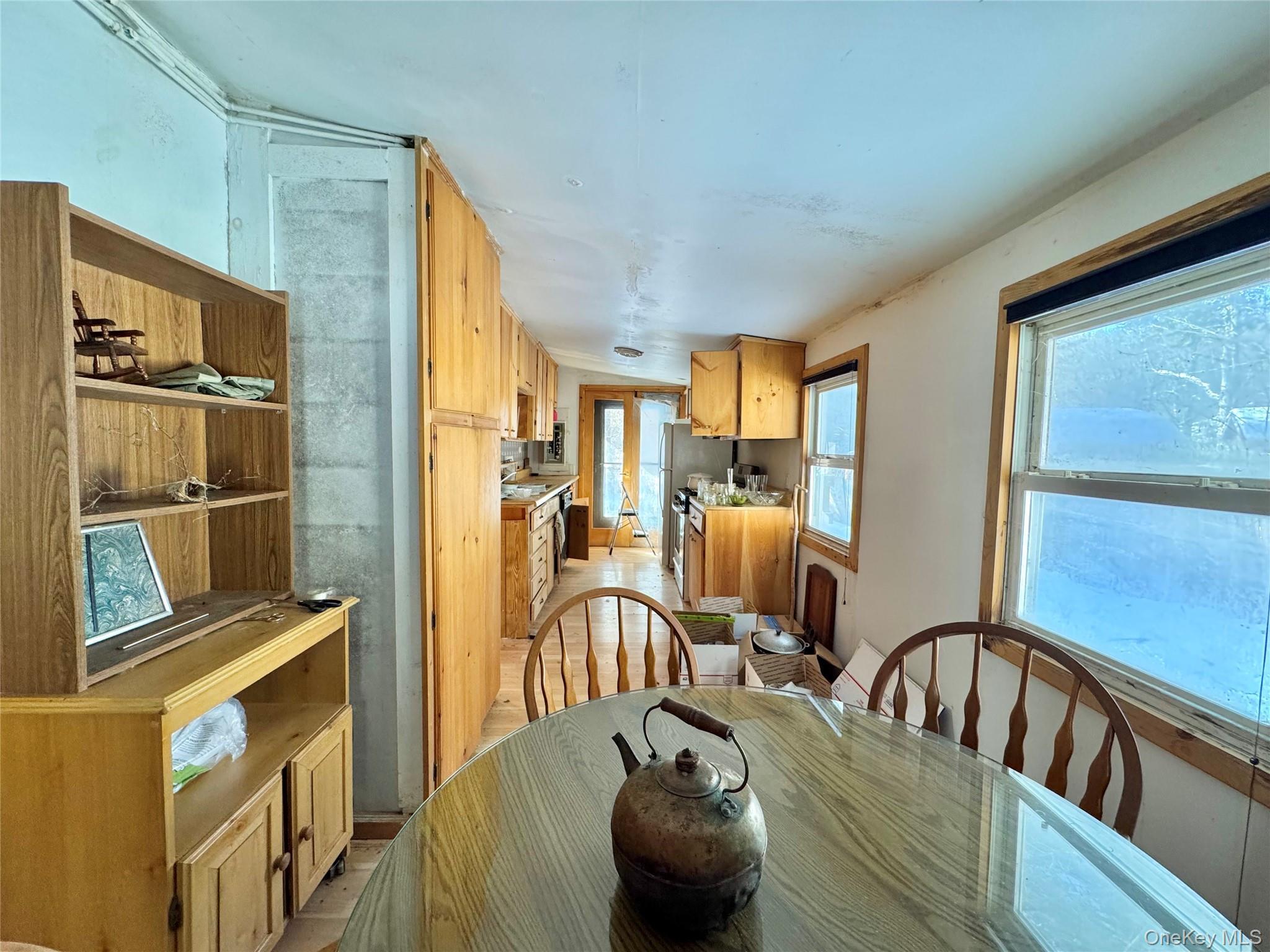 Single Family Potic Creek Greene County, NY 12051, MLS-954851-16