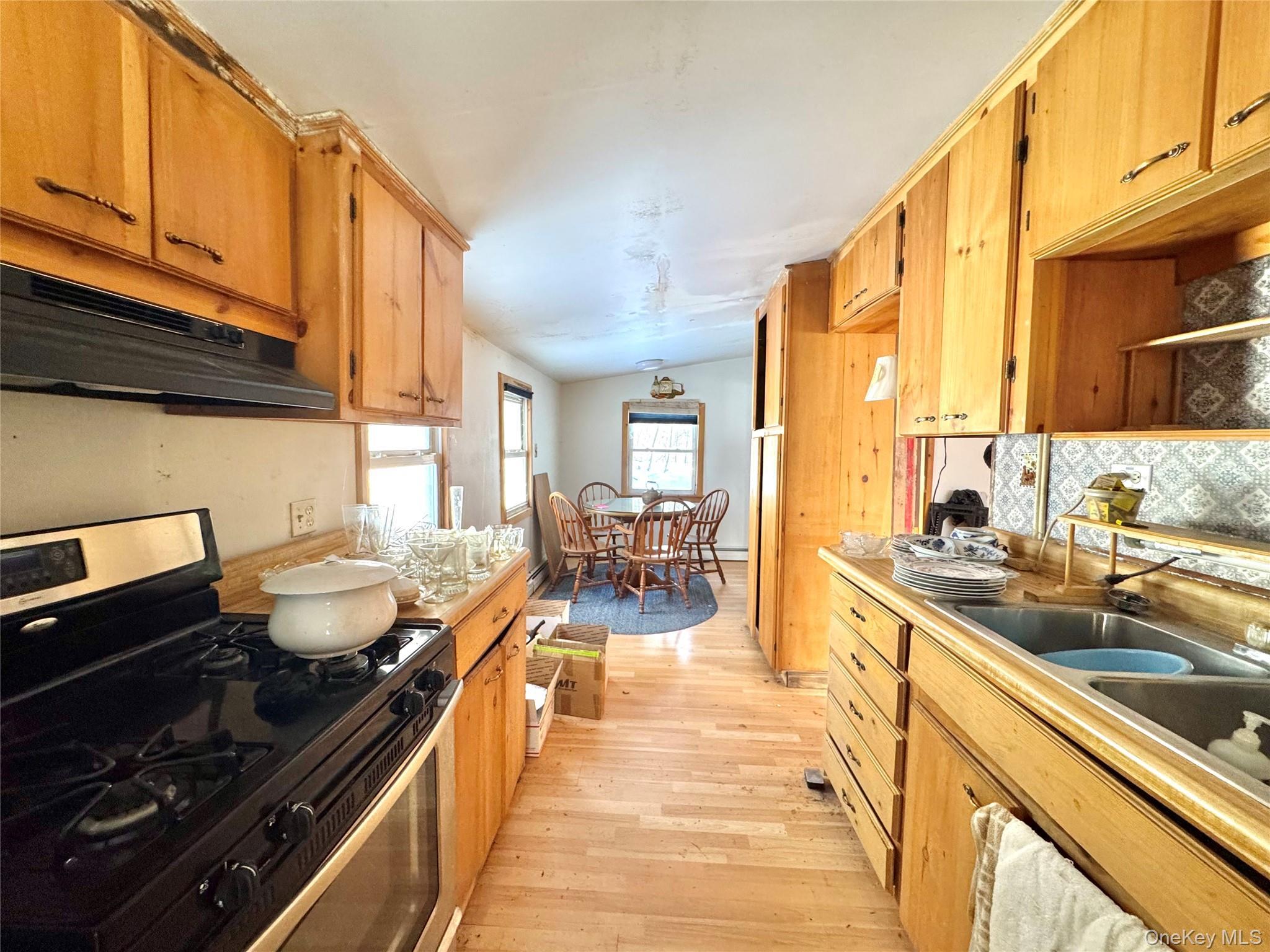 Single Family Potic Creek Greene County, NY 12051, MLS-954851-18