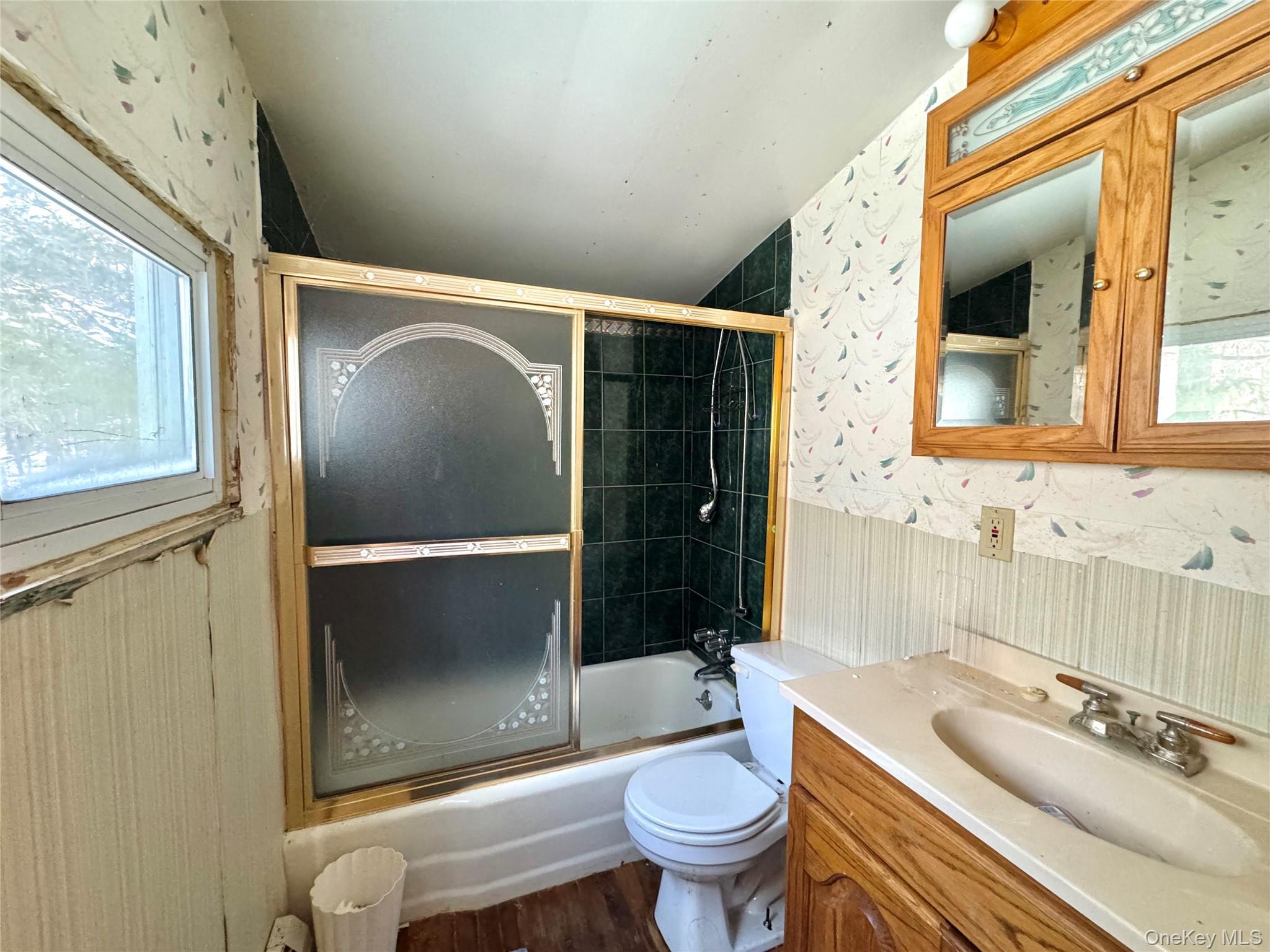 Single Family Potic Creek Greene County, NY 12051, MLS-954851-19