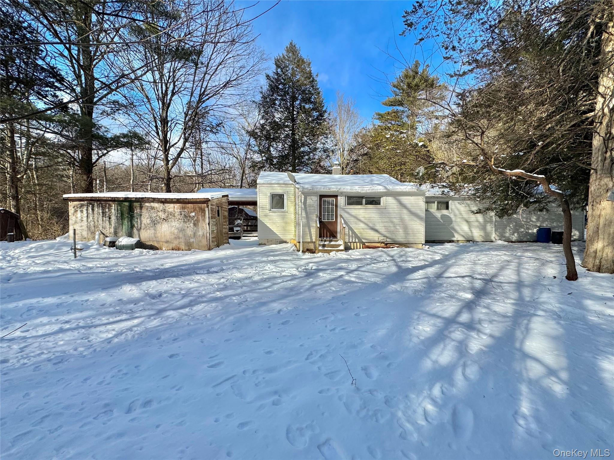 Single Family Potic Creek  Greene County, NY 12051, MLS-954851-24