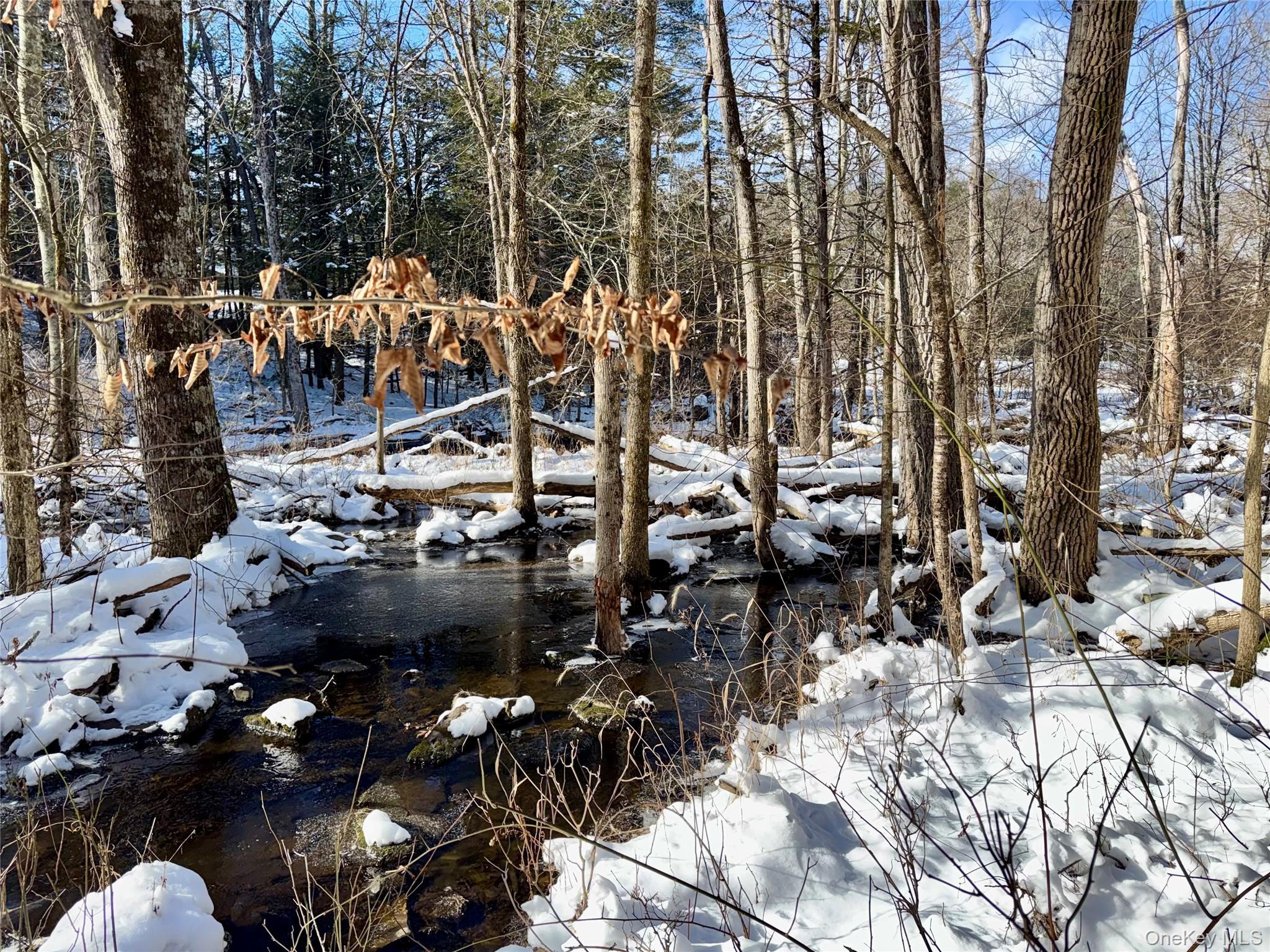 Single Family Potic Creek Greene County, NY 12051, MLS-954851-5