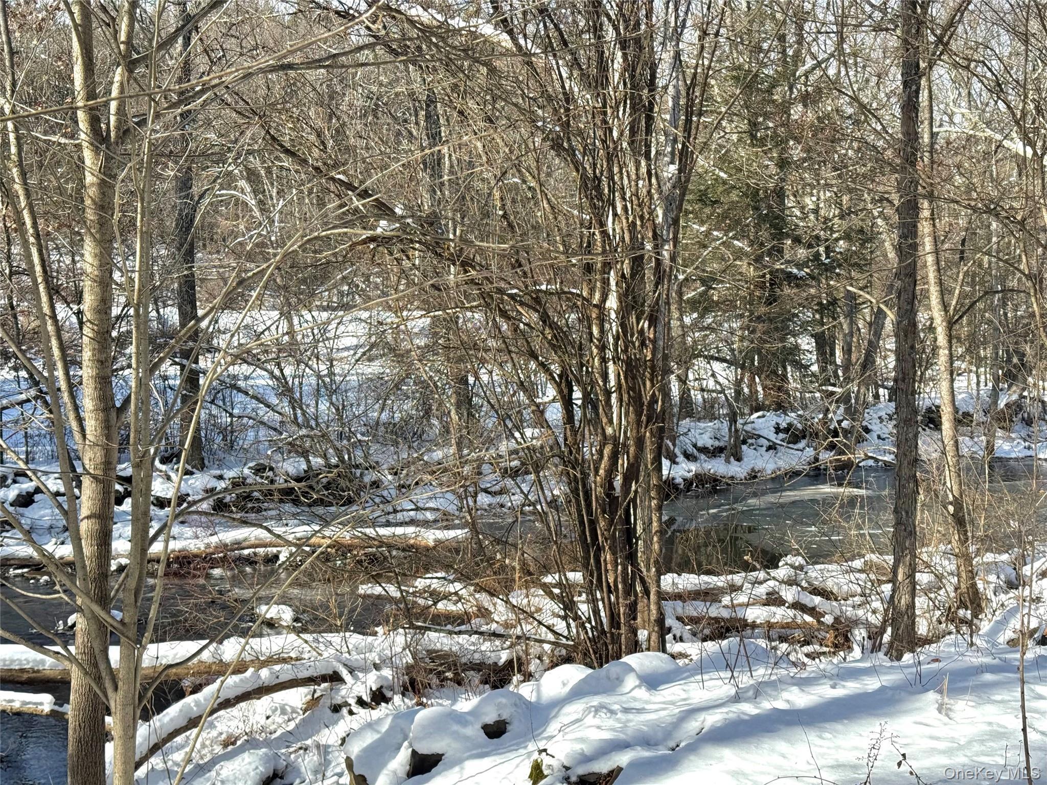 Single Family Potic Creek Greene County, NY 12051, MLS-954851-7