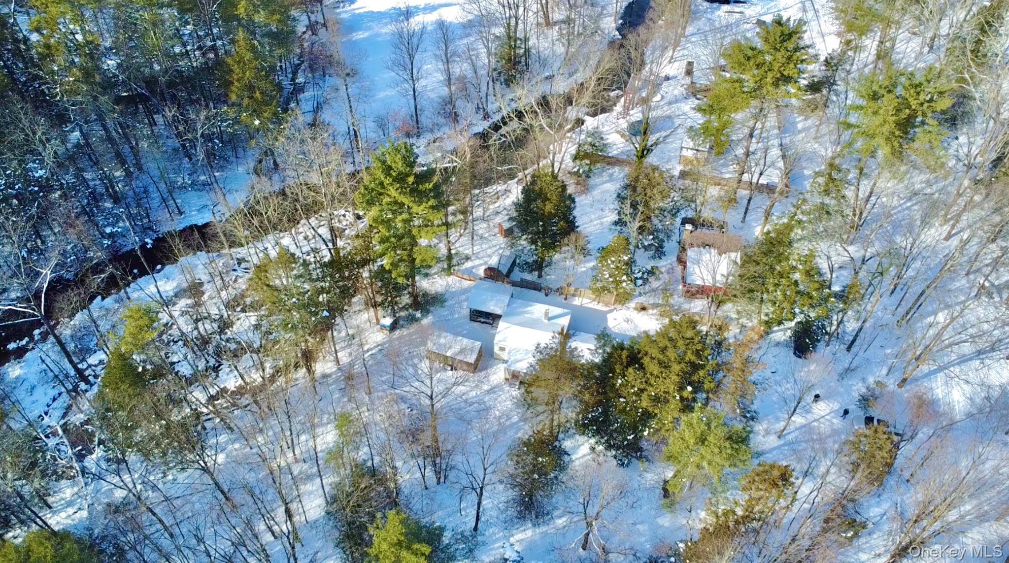 Single Family Potic Creek Greene County, NY 12051, MLS-954851-8