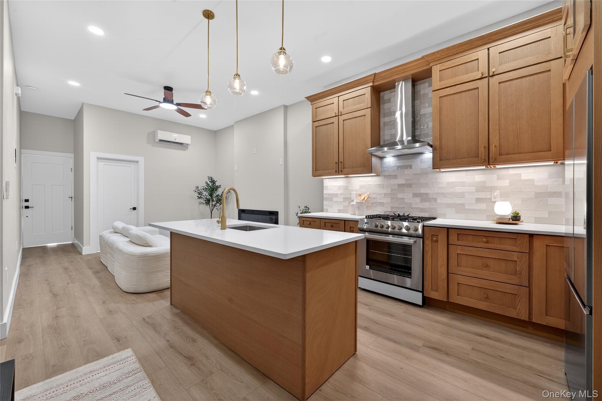 Single Family Pacific  Brooklyn, NY 11233, MLS-954859-10