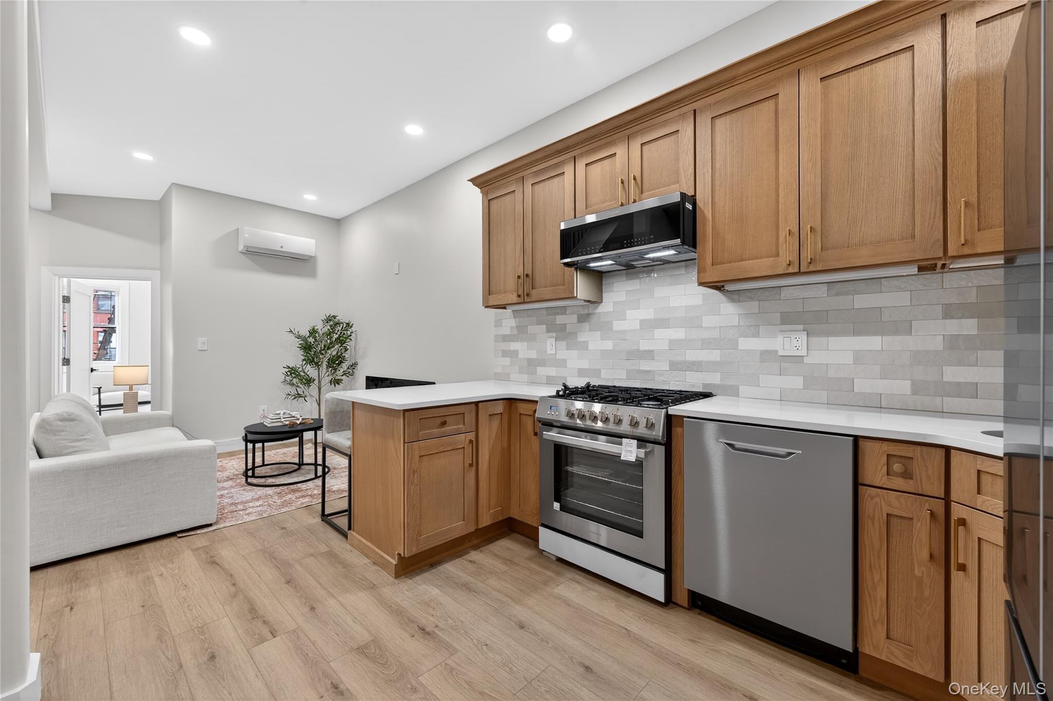 Single Family Pacific  Brooklyn, NY 11233, MLS-954859-15