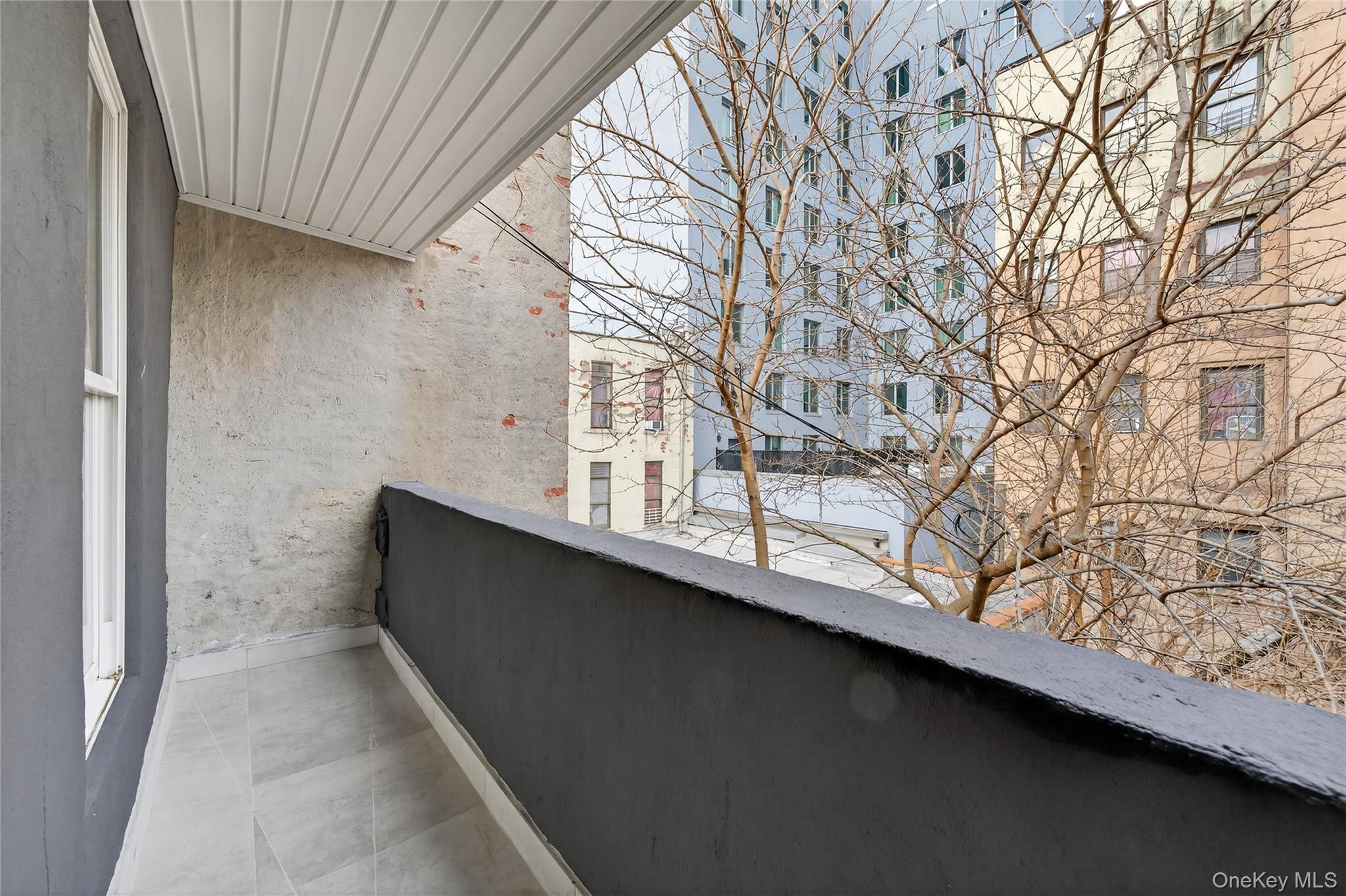 Single Family Pacific  Brooklyn, NY 11233, MLS-954859-21