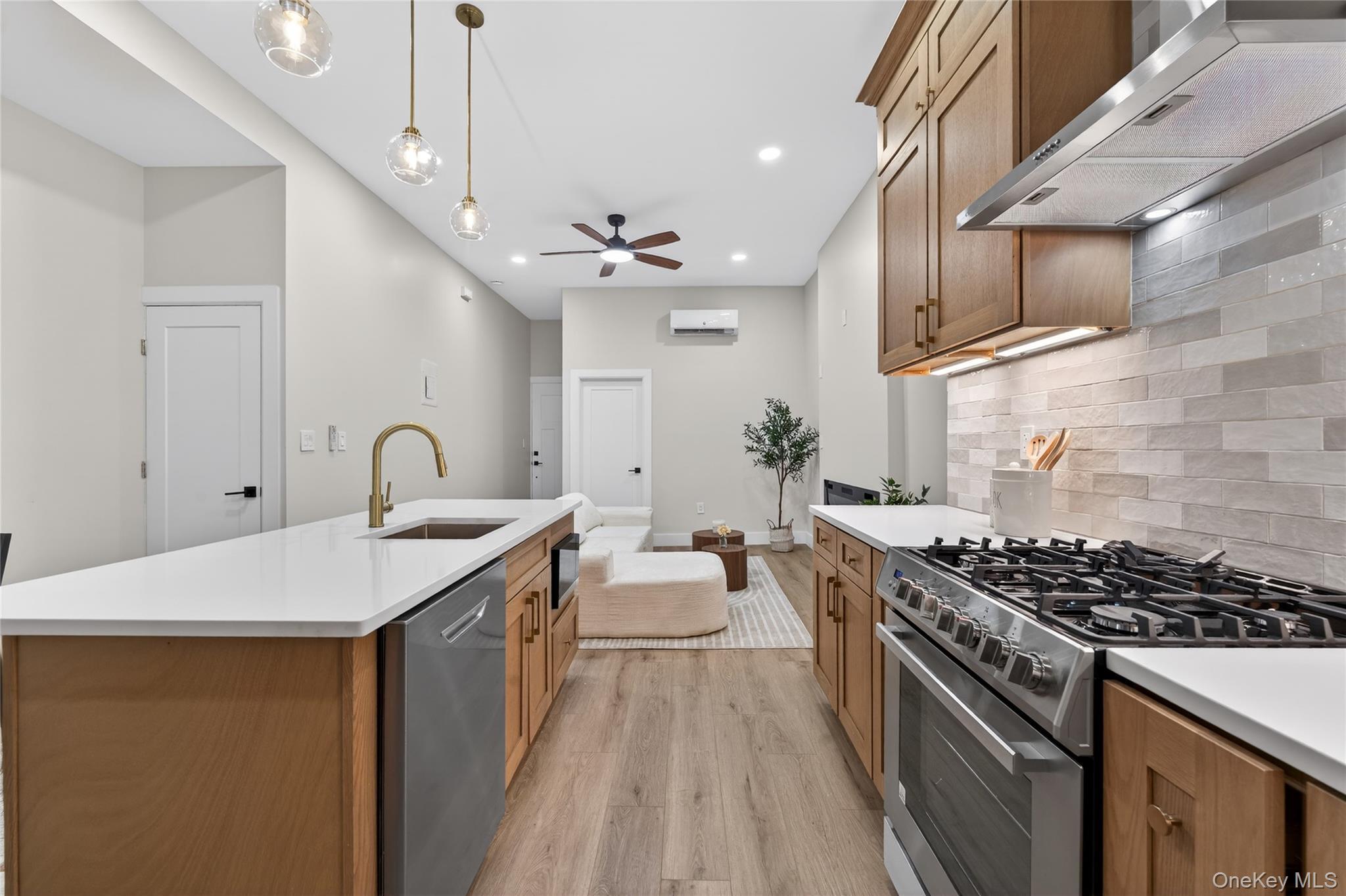 Single Family Pacific  Brooklyn, NY 11233, MLS-954859-9